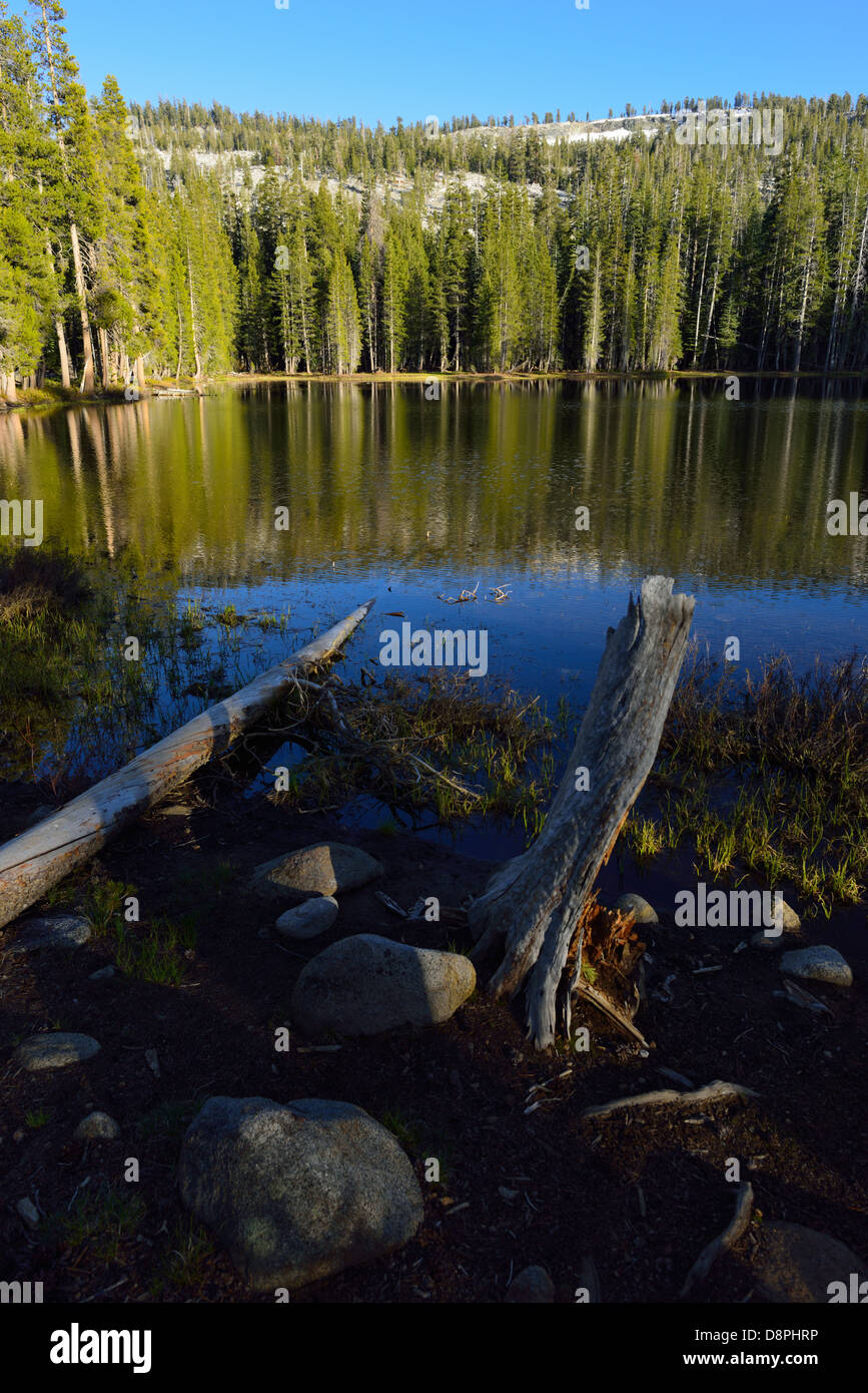 Yosemite Nationalpark, Kalifornien Stockfoto