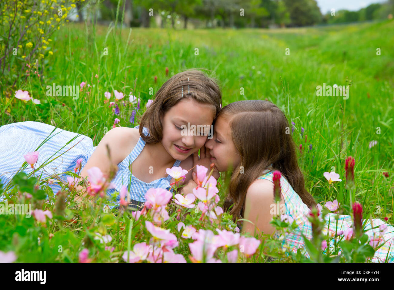 zwei Schwestern Freunde Flüstern Ohr auf Mohn Blumen grüne Frühlingswiese Stockfoto