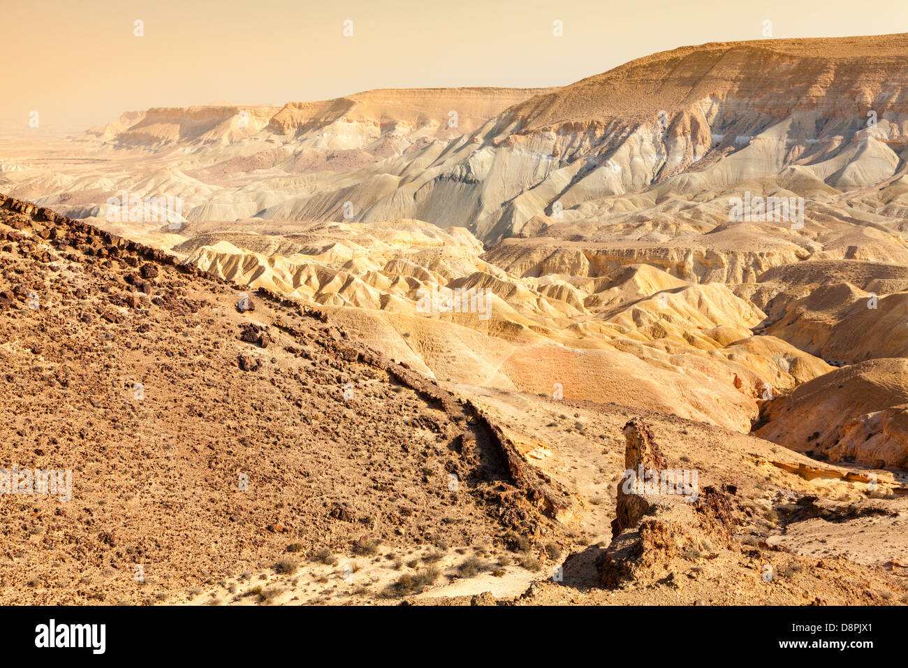 Negev-Wüste in Israel Stockfoto