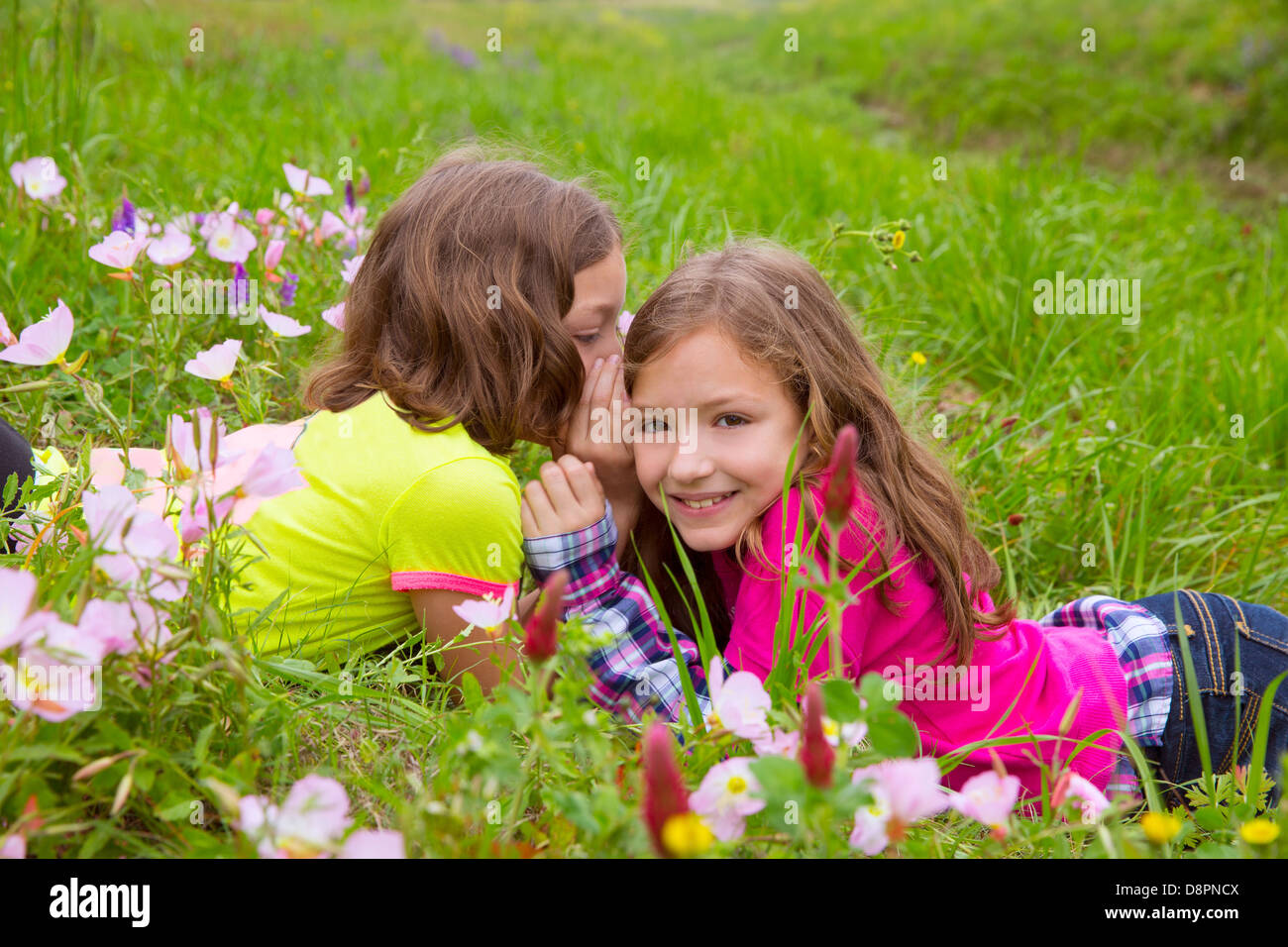 glücklich Zwillingsschwester, die Ohr-Mädchen spielen, Flüstern auf Frühling Blumen Wiese Stockfoto