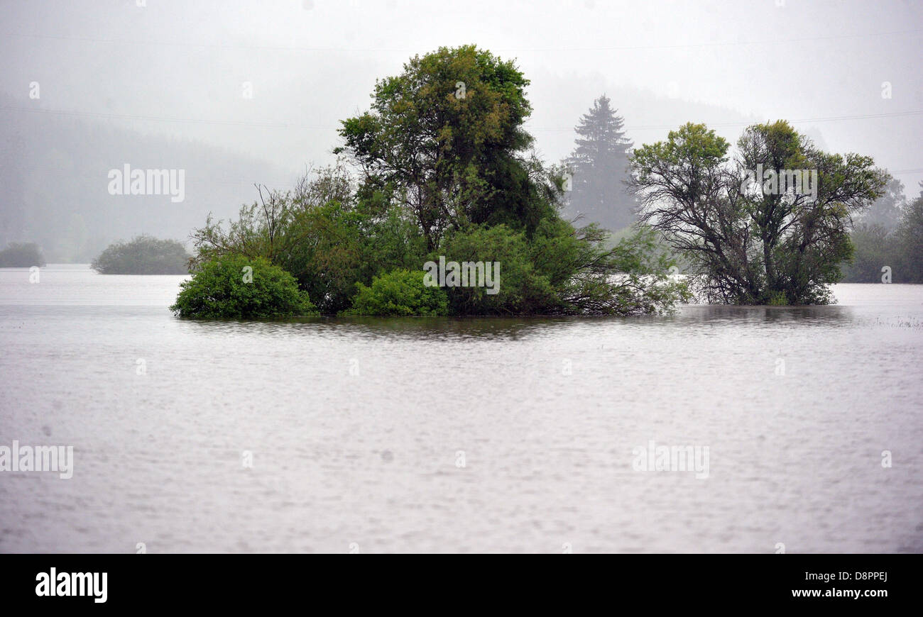 Bayern, Deutschland. 2. Juni 2013. Iller Fluss wird in Kempten, Deutschland, 2. Juni 2013 geflutet. Starke Regenfälle verursachen Überschwemmungen höchst problematische Situation in Bayern. Für die Störche ist dies eine ideale Fütterung Situation. Foto: STEFAN PUCHNER/Dpa/Alamy Live News Stockfoto