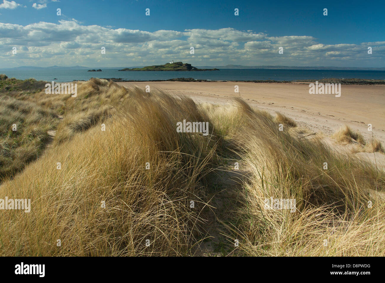 Fidra Leuchtturm in der Nähe von Yellowcraigs, East Lothian Stockfoto