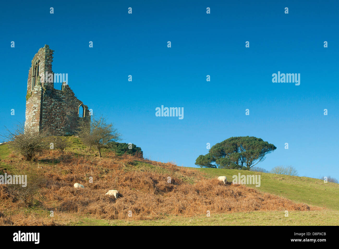 Mount Edgcumbe Torheit, Mount Edgcumbe Country Park, Cornwall Stockfoto