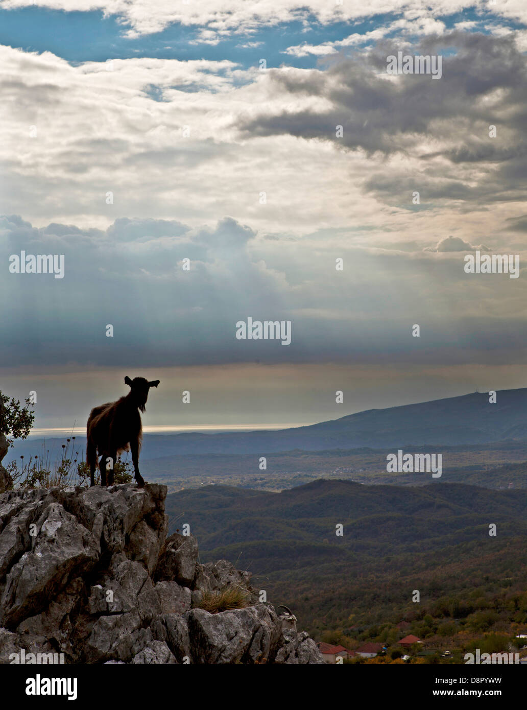 Wüste Landschaft, Shkodra, Montenegro Stockfoto