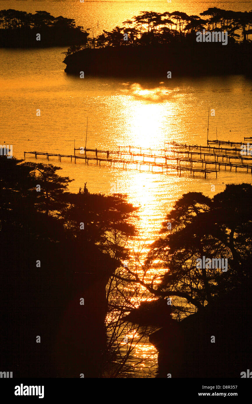 Morgen in Matsushima, Präfektur Miyagi Stockfoto