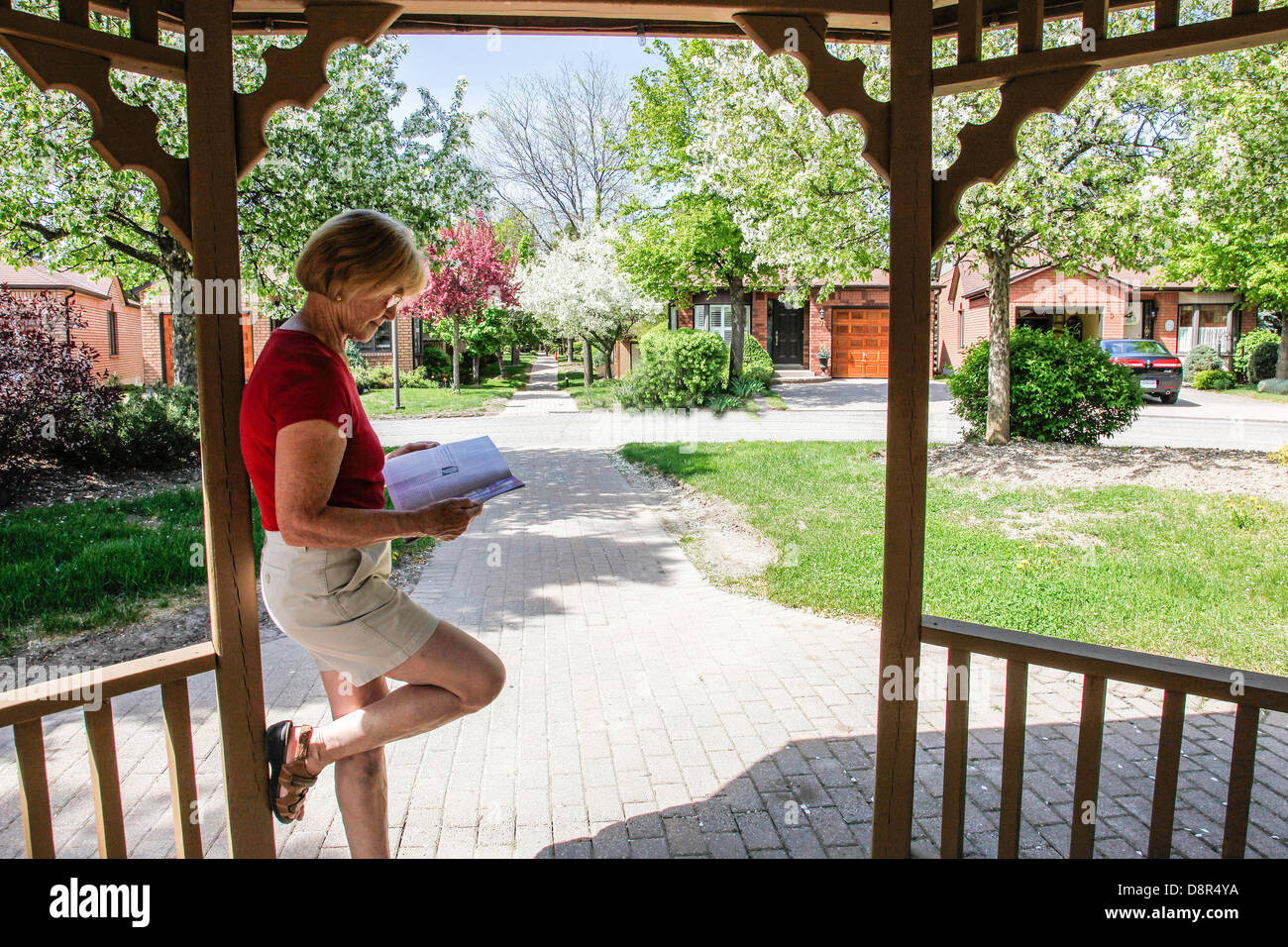 Frühling oder Frühling mit blühenden Bäumen Crabapple Bäume (Gattung Malus) in voller Blüte mit Frau zu Fuß kleiner Hund In Kanada Stockfoto