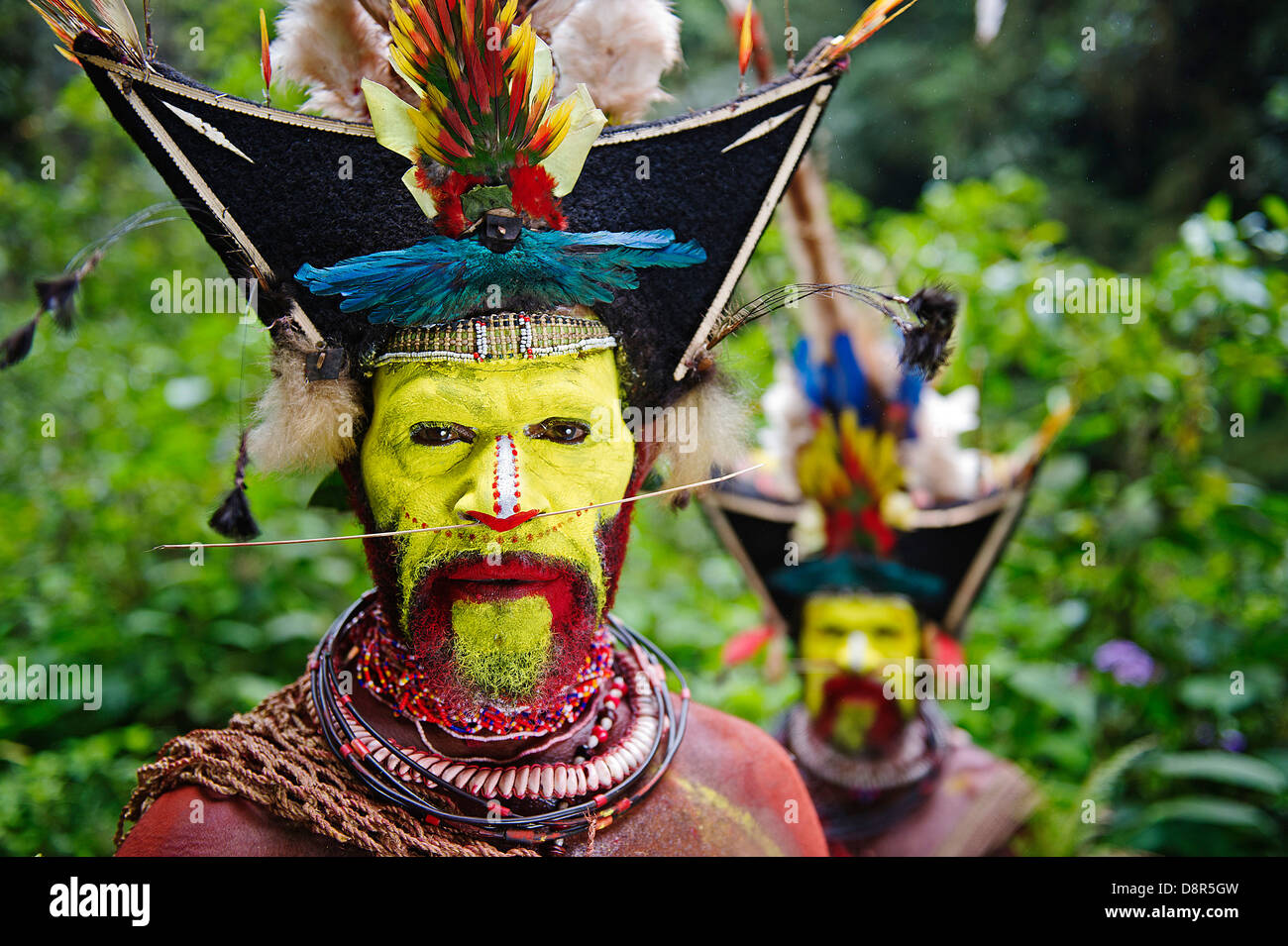Timan Thumbu Huli Wigman von Tari Southern Highlands-Papua-Neuguinea Stockfoto