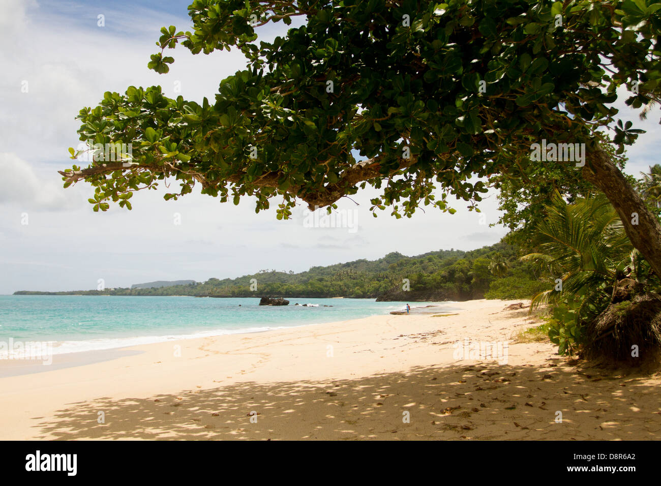 Rincon Strand, Dominikanische Republik. Stockfoto Rincon Strand, Dominikanische Republik. Stockfoto