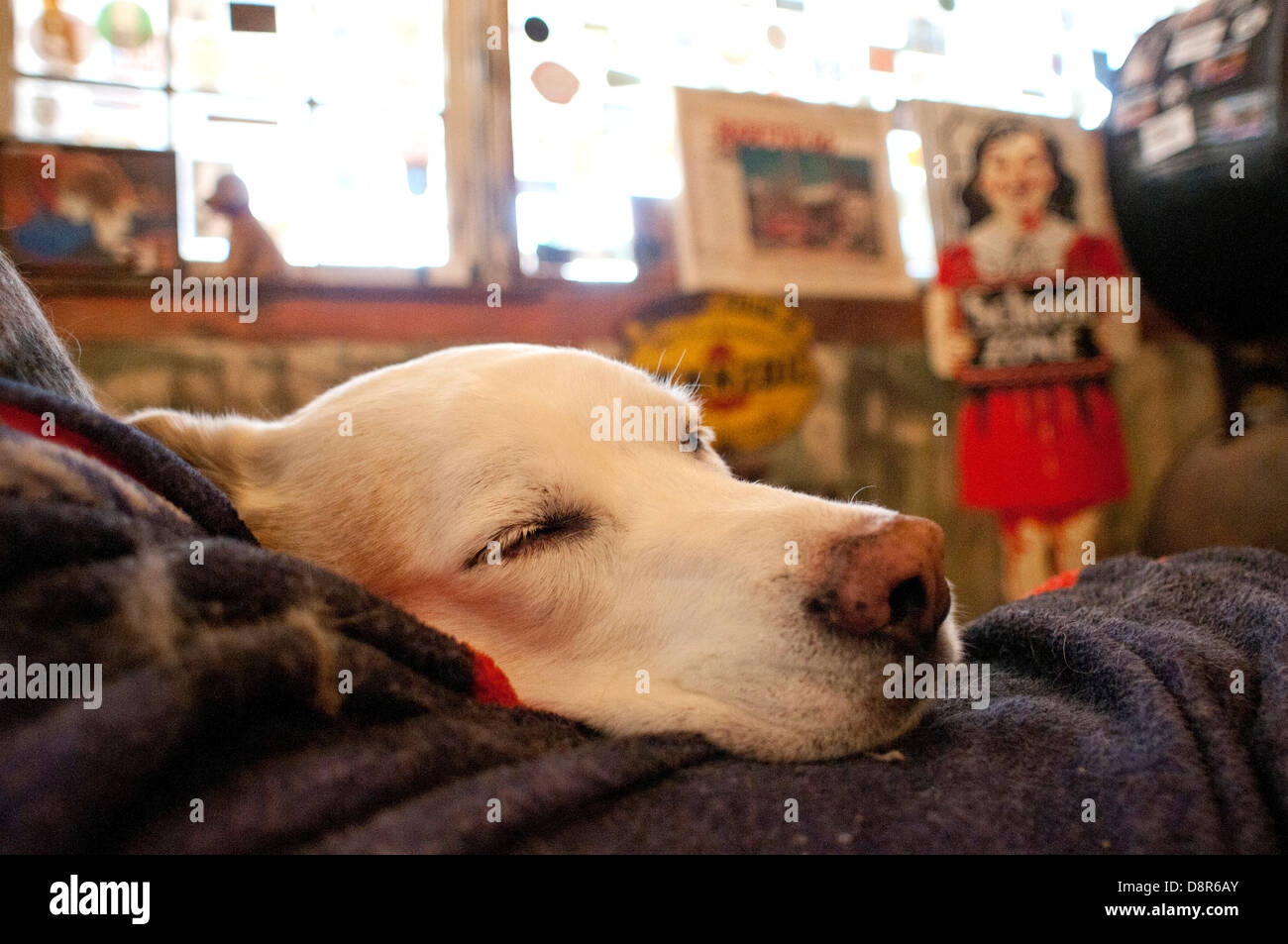 Hackberry General Store, an der Route 66 in Arizona, USA. Stockfoto