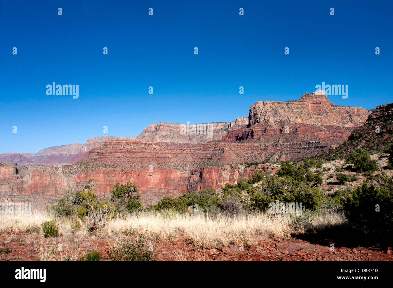 Grand Canyon National Park, Arizona, USA. Stockfoto