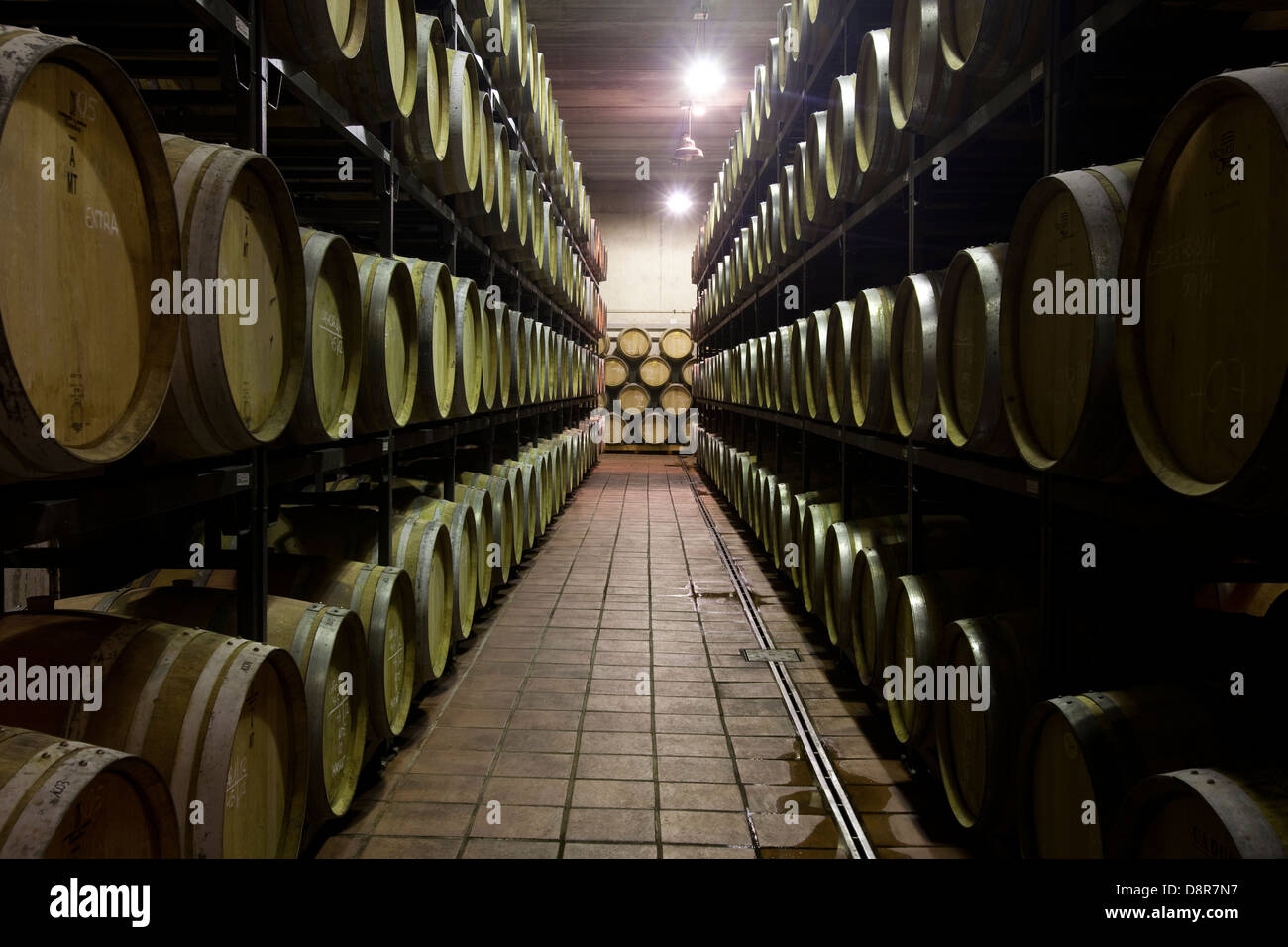 Weinkeller im Priorat Stockfoto