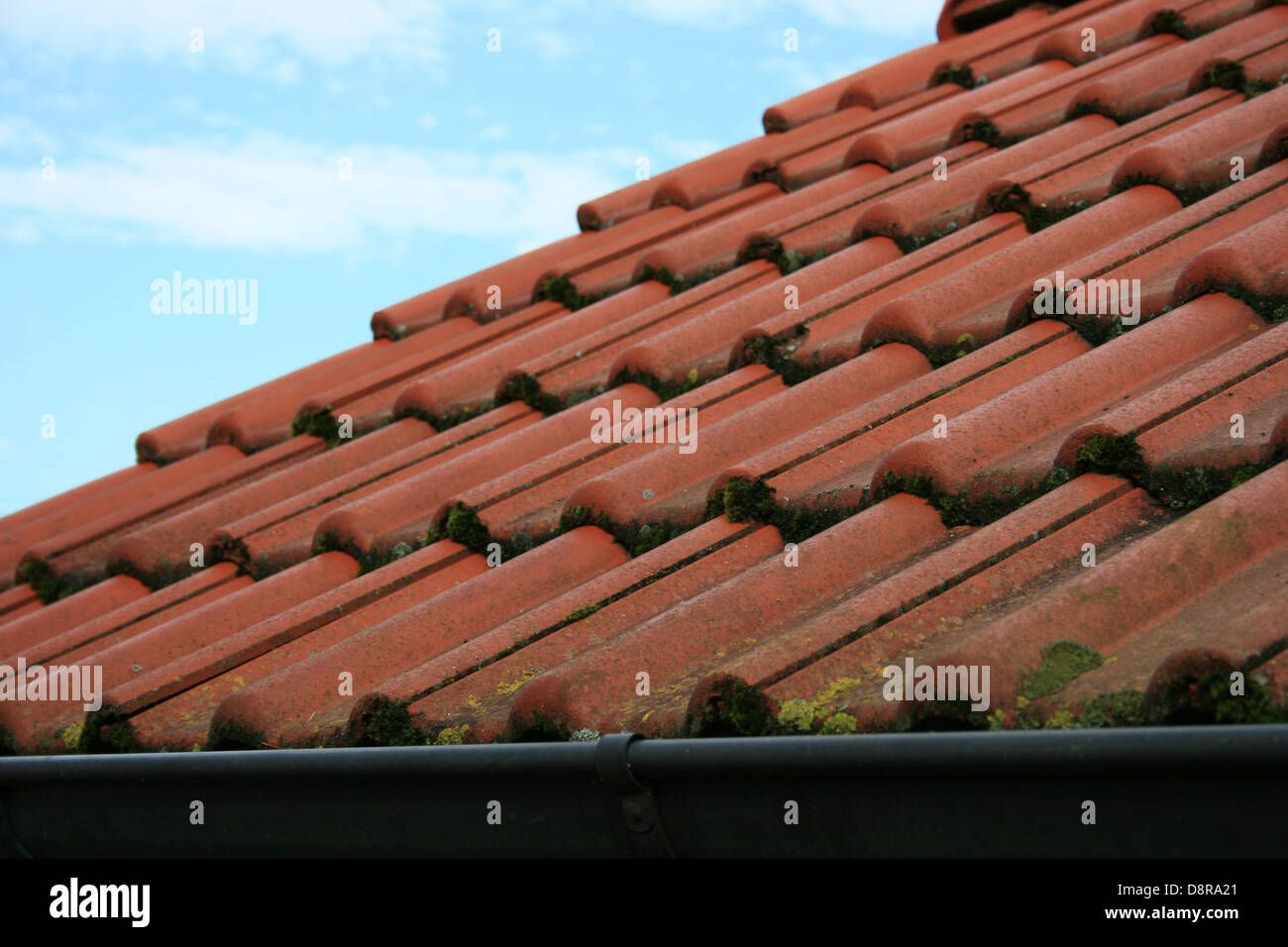 Ziegeldach Stockfoto