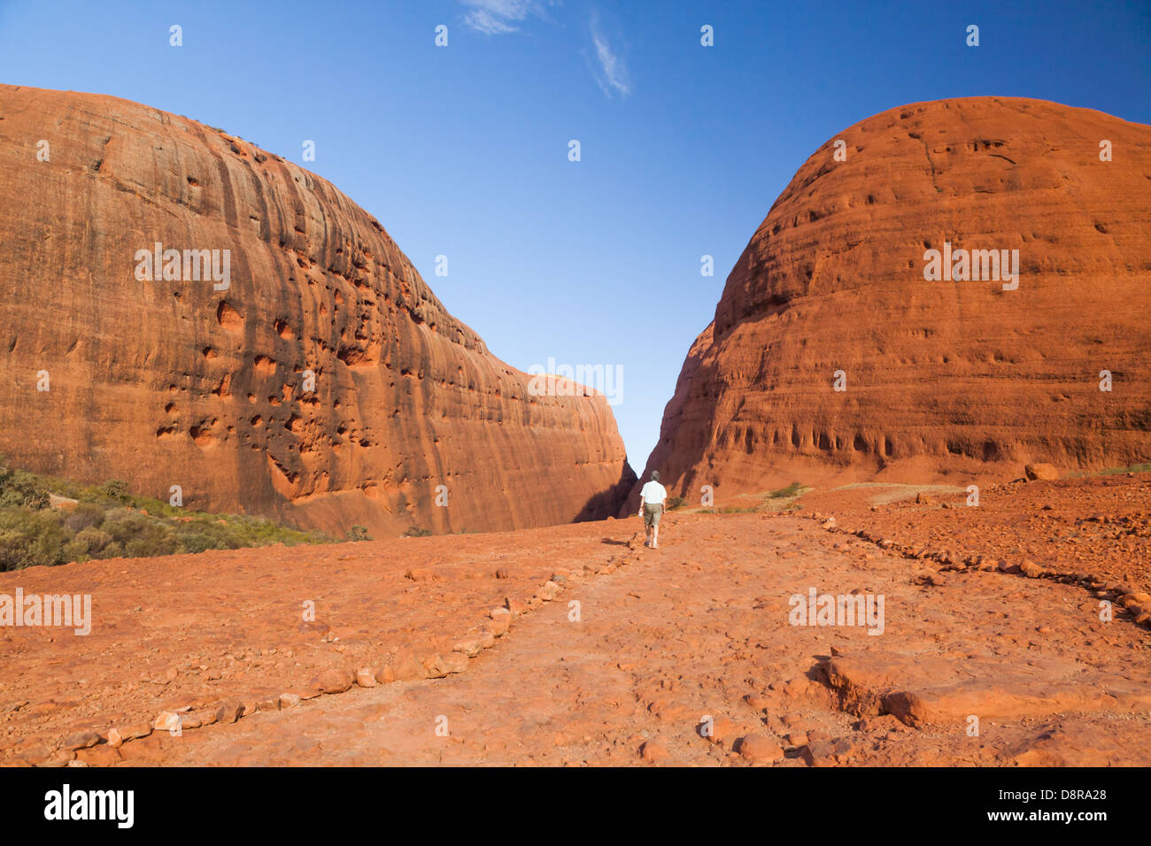 Kata Tjuta (Mount Olgas) im Outback, rotes Zentrum, Northern Territory, Australien. Stockfoto