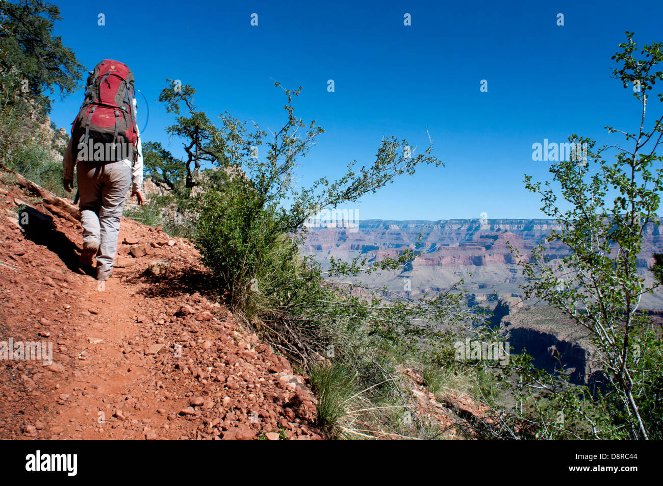 Wandern im Grand Canyon Stockfoto