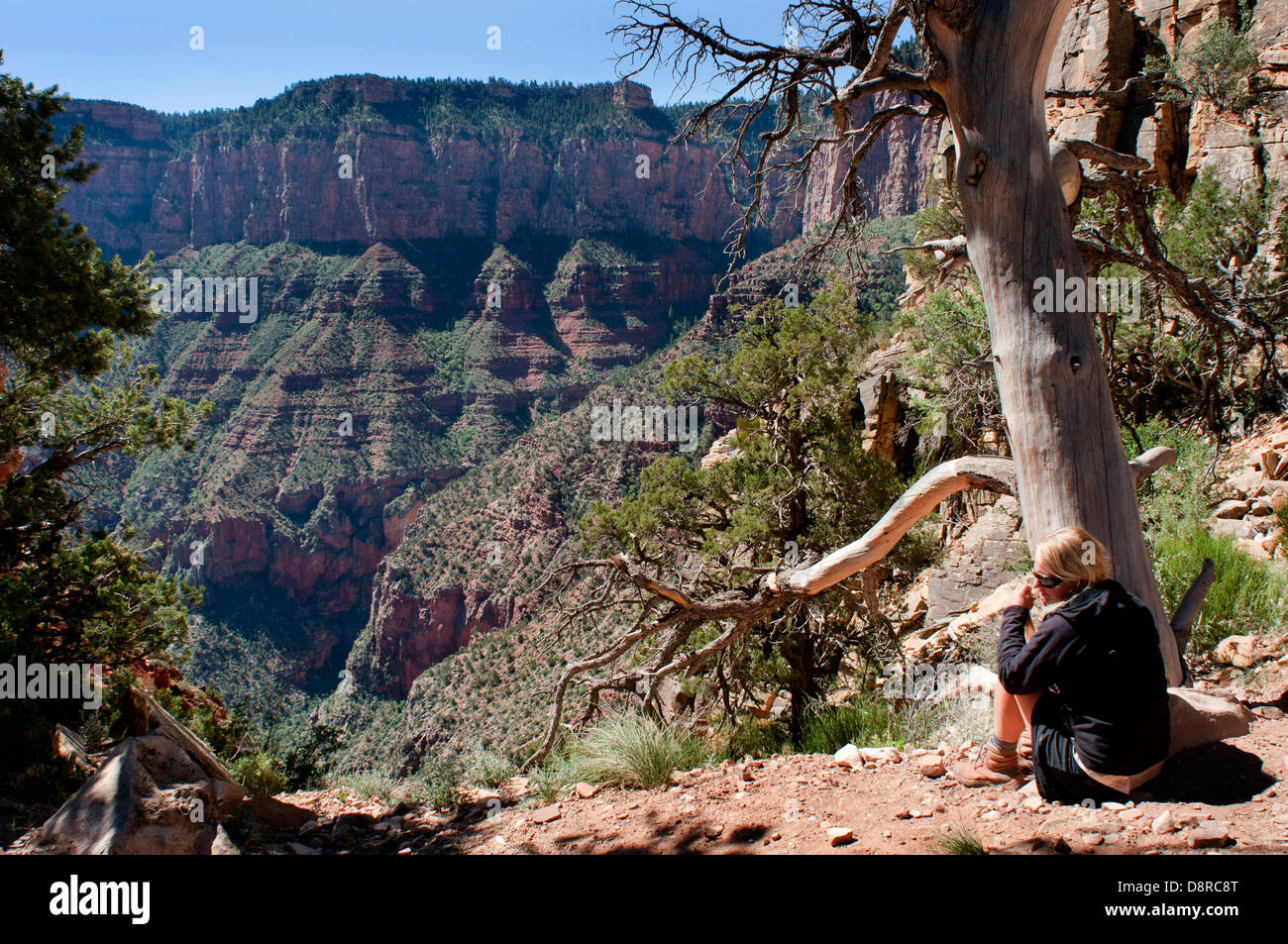 Wandern im Grand Canyon Stockfoto