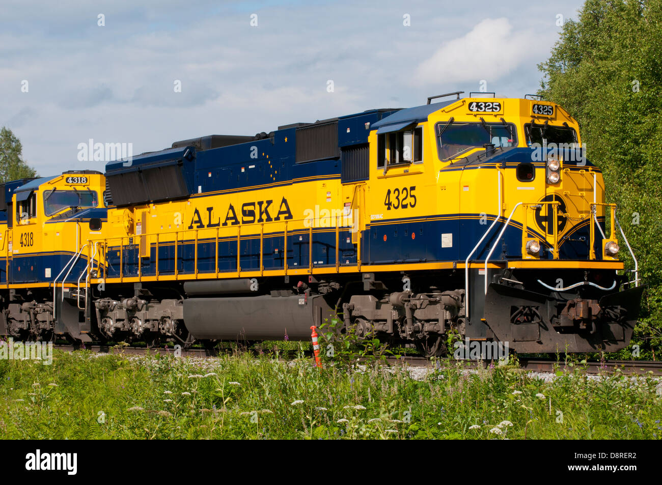 Trainieren Sie in Alaska, USA Stockfoto