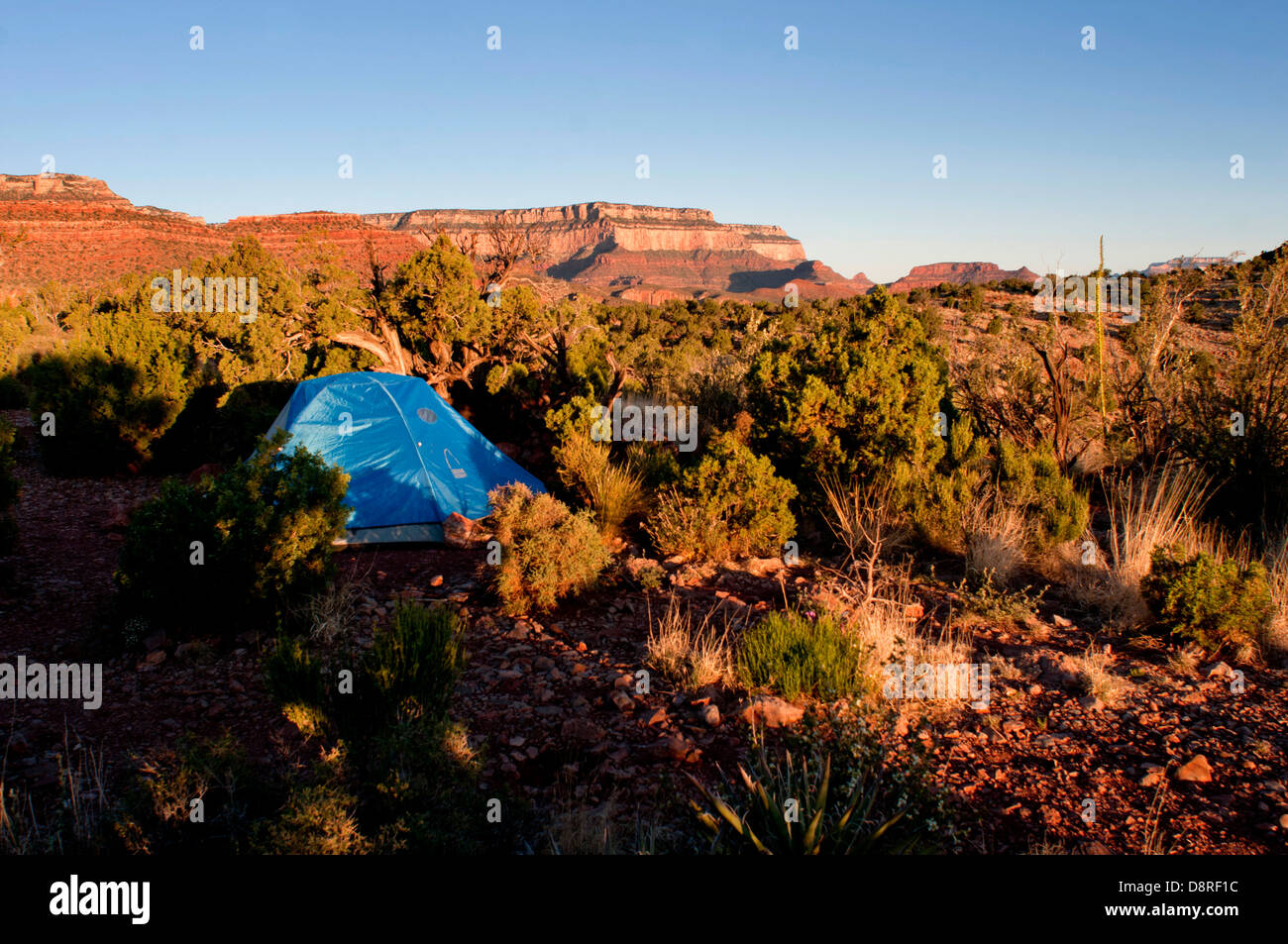 Zelt in einem genehmigten Campingplatz des Grand Canyon National Park, Arizona, USA. Stockfoto