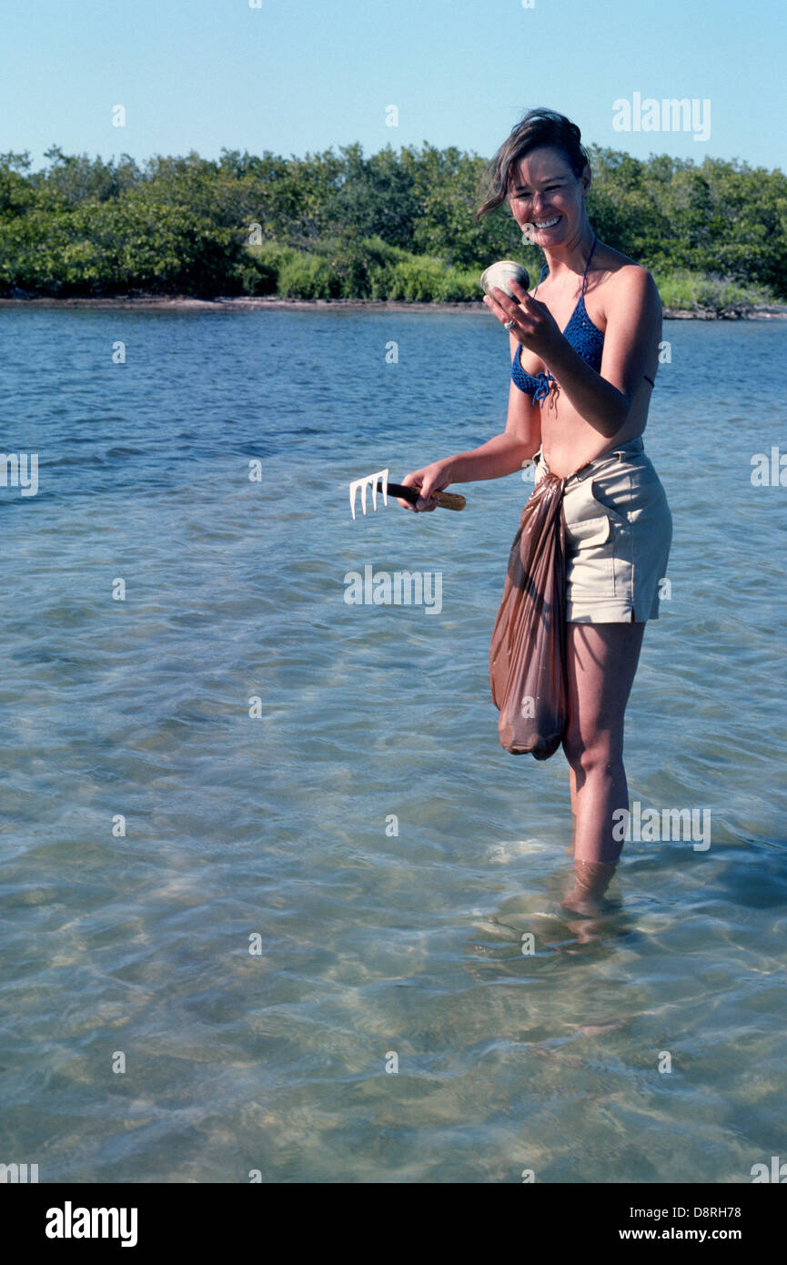 Eine Frau benutzt einen Muschel Rechen Nord Quahog (hart) Muscheln von Indian River Lagune in der Nähe von Sebastian Inlet auf der atlantischen Küste von Florida, USA zu ernten. Stockfoto