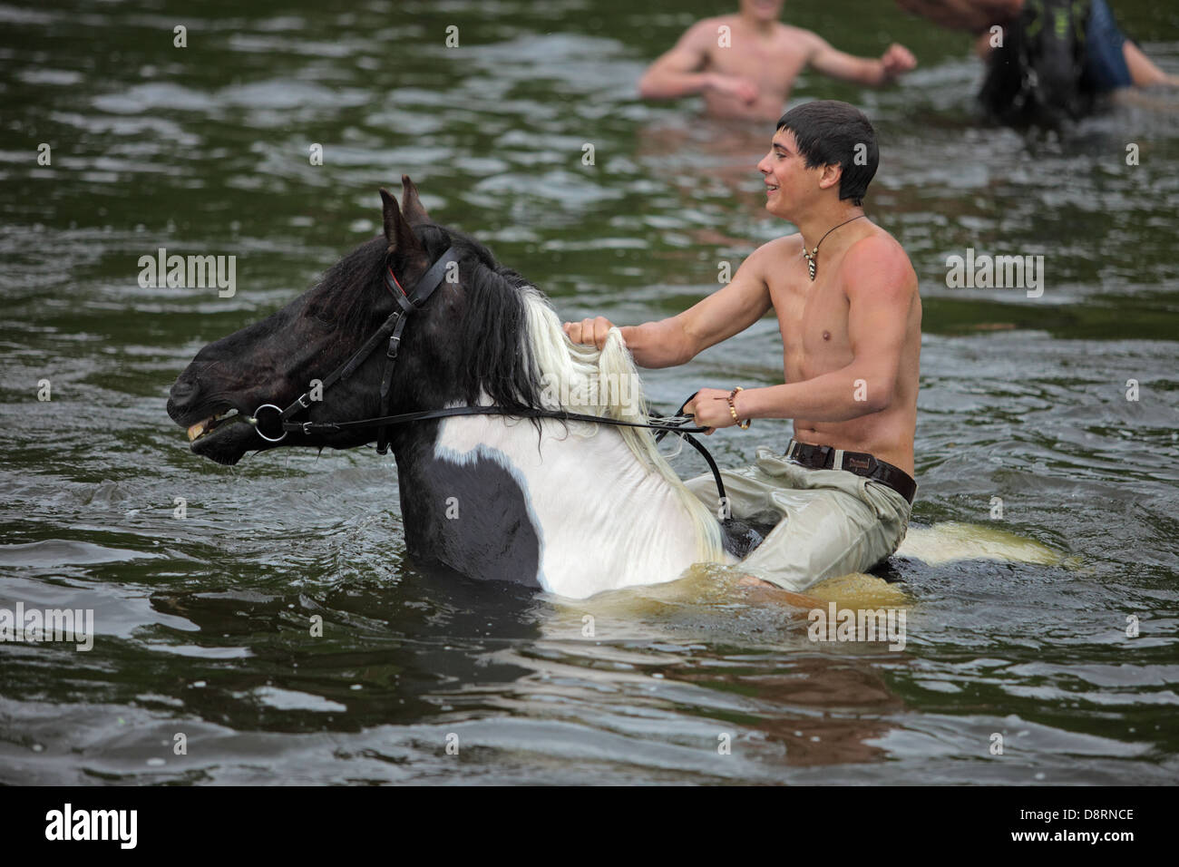 Reiter im Fluss schwimmende Stockfoto