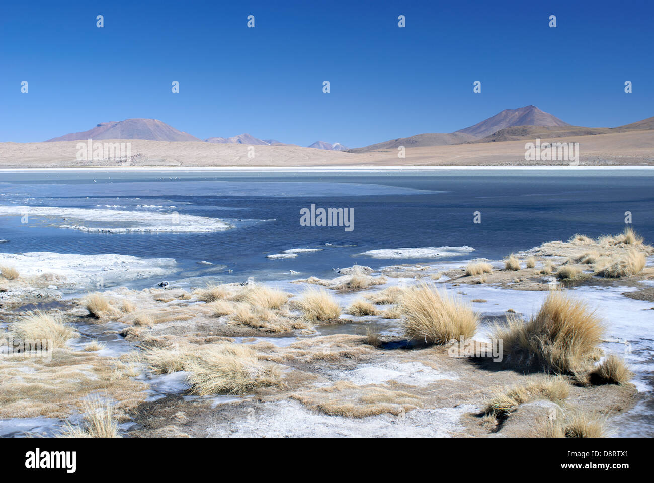 Laguna Hedionda im Nationalpark REA, Bolivien Stockfoto