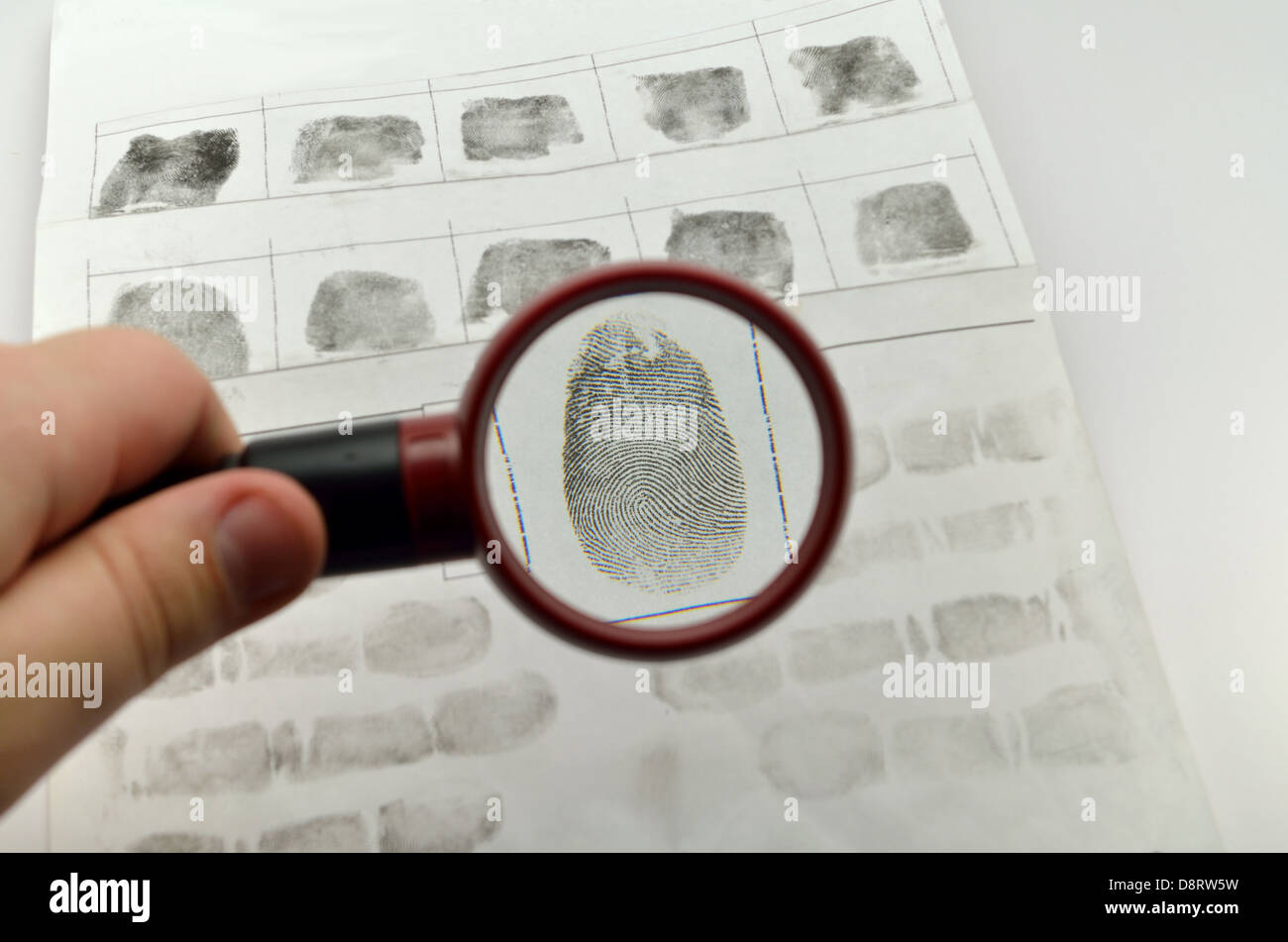 Vergleich des Fingerabdrucks durch die daktyloskopische Lupe Stockfoto