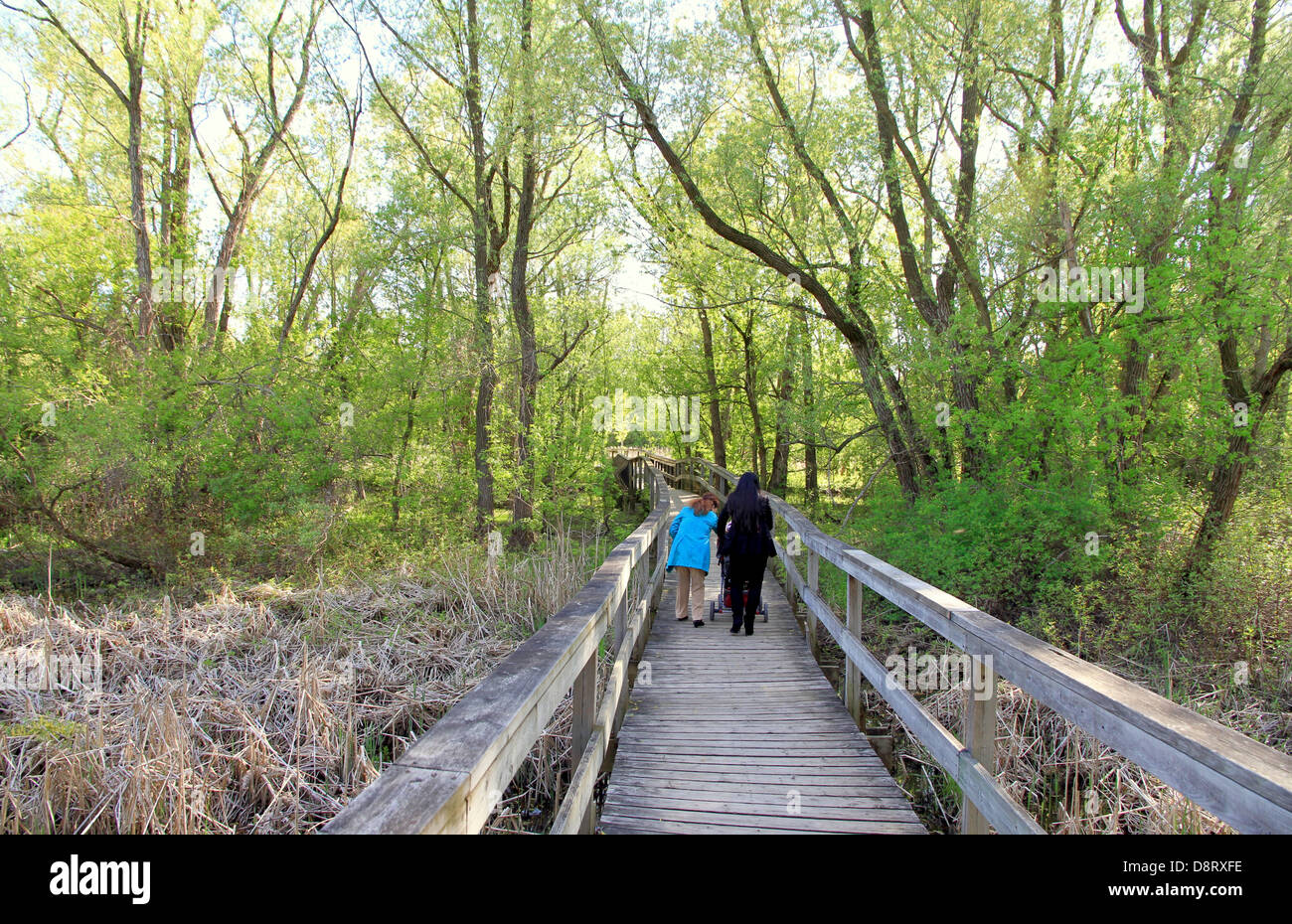 Spaziergang in einem park Stockfoto