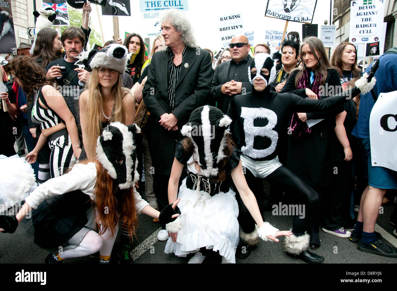 Protest gegen geplante Keulung der Dachse unter der Leitung von einem Flashmob von Tänzern gekleidet mit Dachs Kopf und unter der Leitung von Brian May Stockfoto