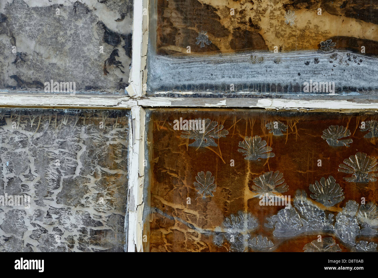 S out-Gebäude Details gerissenen Fensterscheiben Culbertson Montana USA Stockfoto