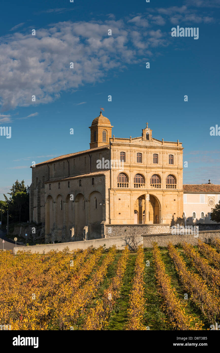 Notre Dame de Grace und Weinberg, Gignac, Hérault, Languedoc Roussillon, Frankreich Stockfoto