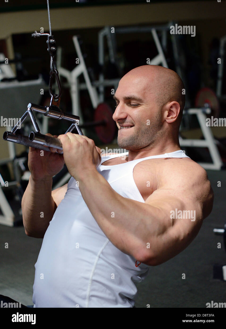 Bodybuilder im Fitnessstudio Stockfoto