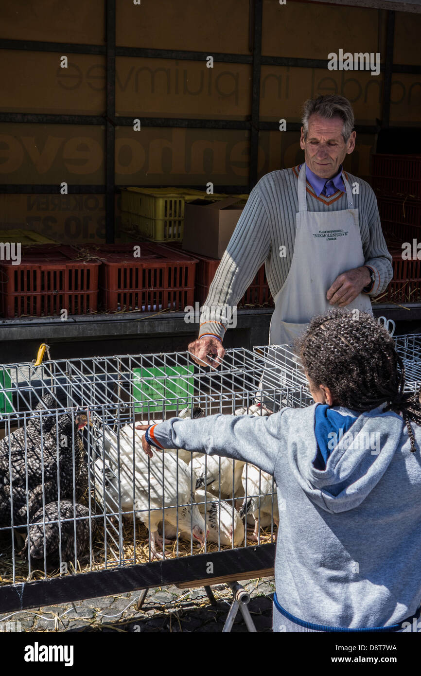 Standbesitzer in Geflügel Stand und Kind betrachtet man Hühner in Käfigen zum Verkauf an Haustier-Markt Stockfoto