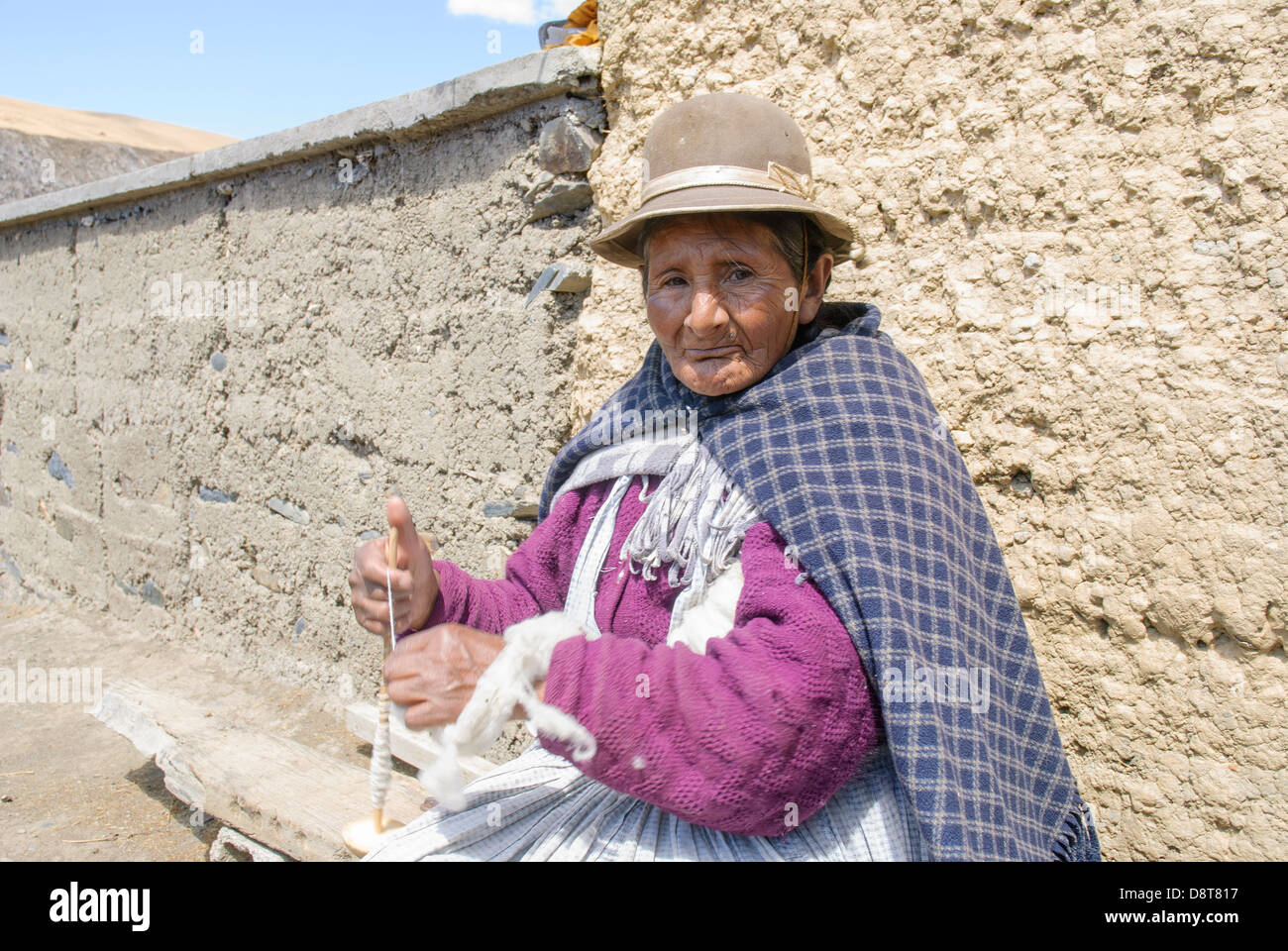 Aymara Greisin in der Cordillera Real Stockfoto