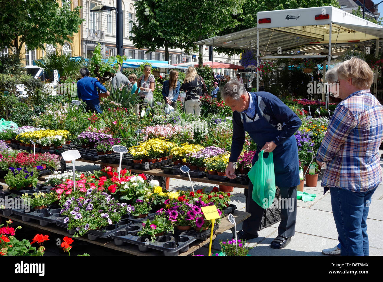 Frauen kaufen bunte Blumen am Stand von Standbesitzer am Blumenmarkt im Frühjahr Stockfoto