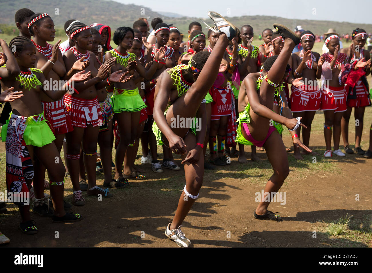 Zulu Reed Dance im eNyokeni Palace, Nongoma, Südafrika Stockfotografie