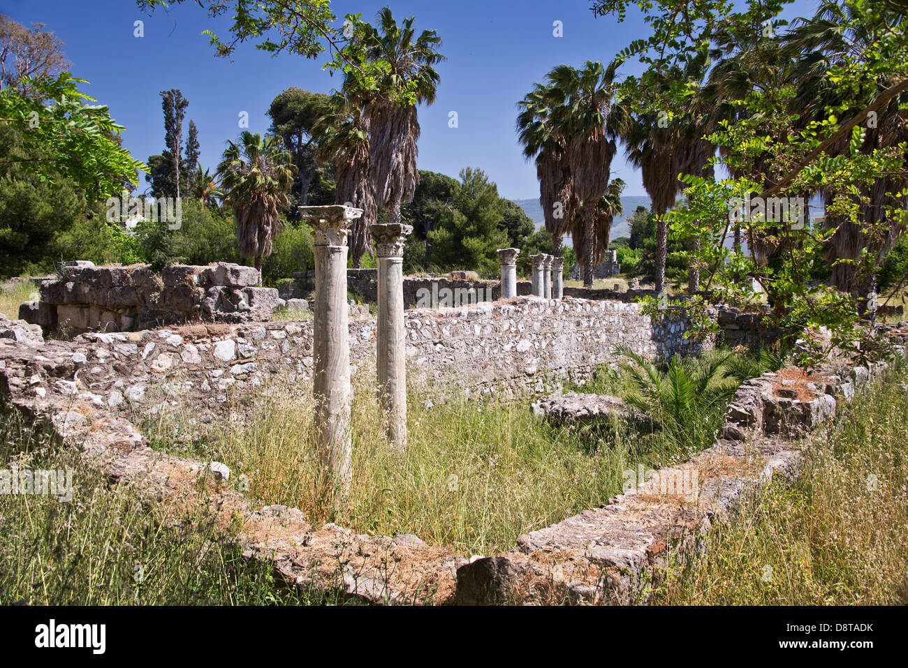 Spalten in eine historische Stätte in der Stadt Kos - Dodekanes - Griechenland stehen Stockfoto