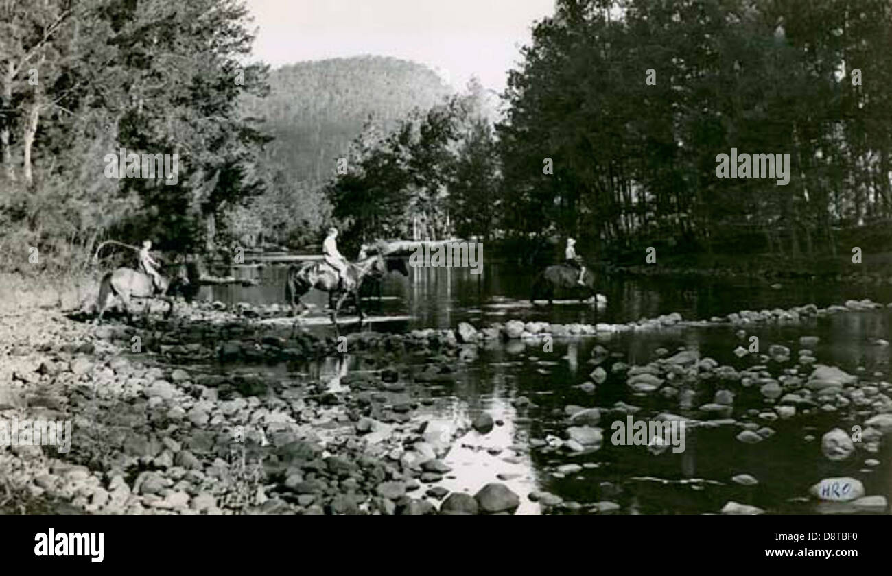 Ein Schwarzweiß-Foto, das Pferdereiter entlang des Kangaroo River in der Illawarra-Region in New South Wales zeigt und die ländliche Landschaft und den Outdoor-Lebensstil der Gegend im frühen 20. Jahrhundert feststellt. Stockfoto