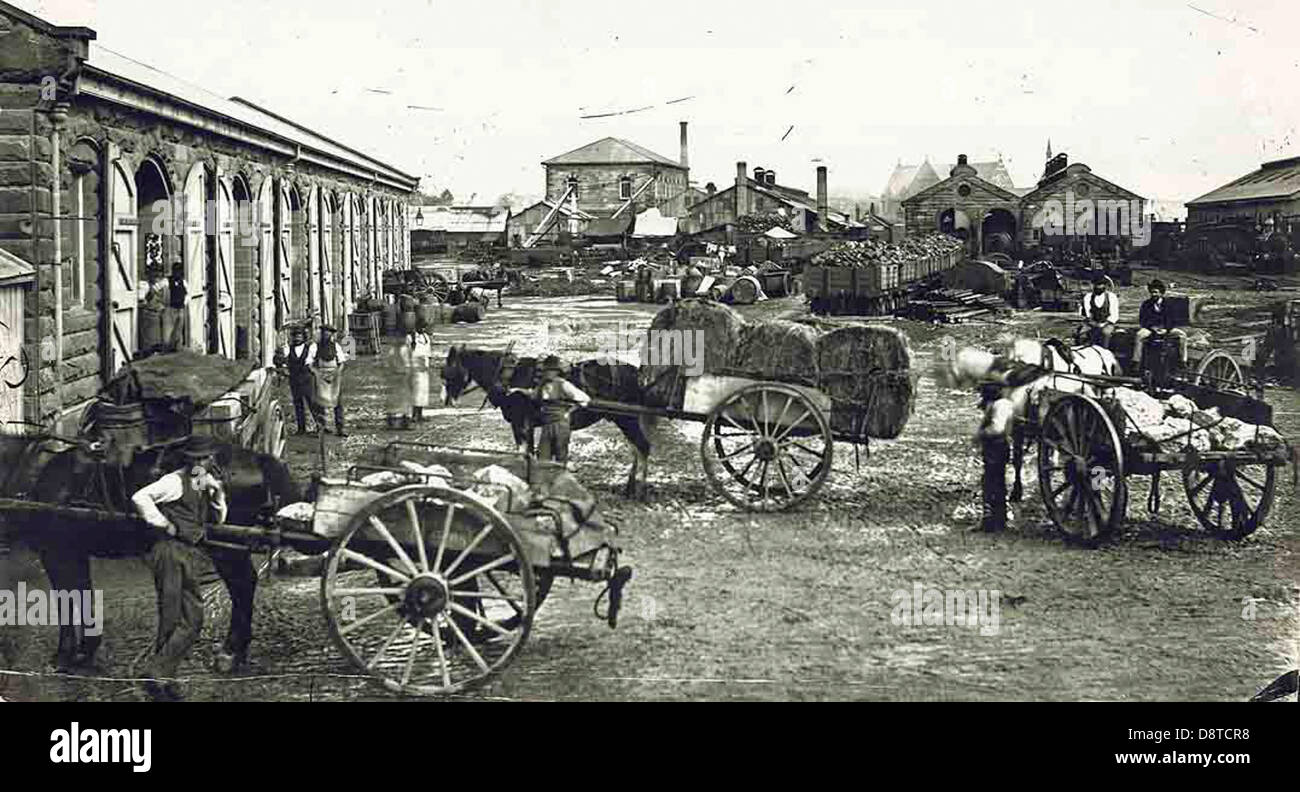Dieses historische Bild zeigt Pferdeteams auf dem Warenbahnhof der Sydney Railway an der Blue Mountains Line in Redfern. Das Schwarz-weiß-Foto zeigt die Rolle der Pferde im frühen Eisenbahnverkehr, die beim Be- und Entladen von Gütern vor der Mechanisierung behilflich waren. Stockfoto