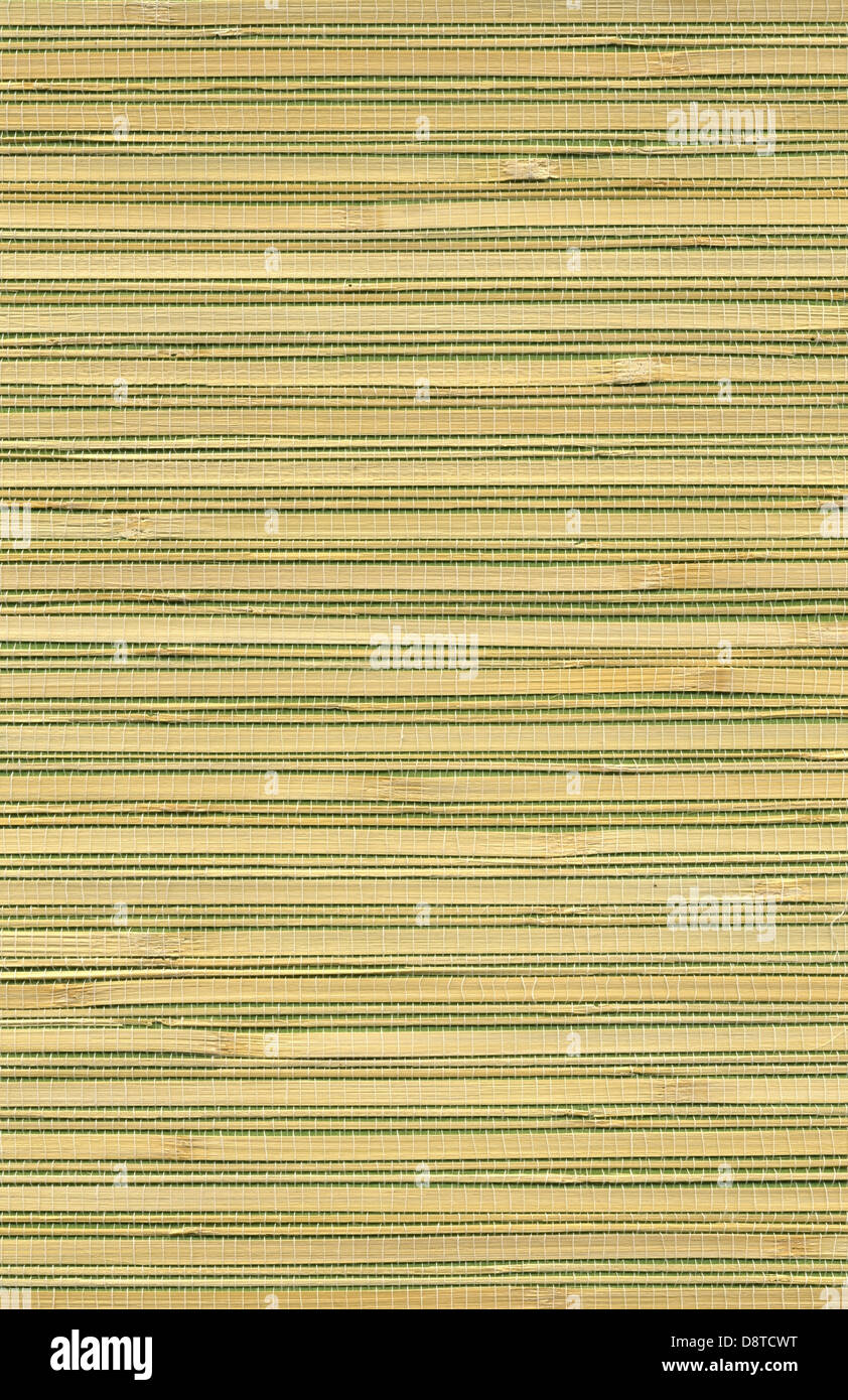 hohe Auflösung Bambus Tapete Textur Stockfoto