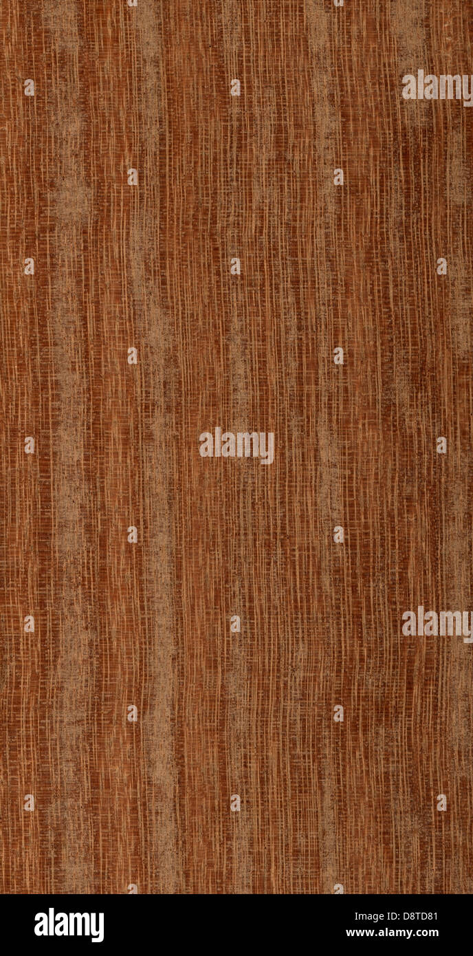 hohe Auflösung Kempas Holz Textur Stockfoto