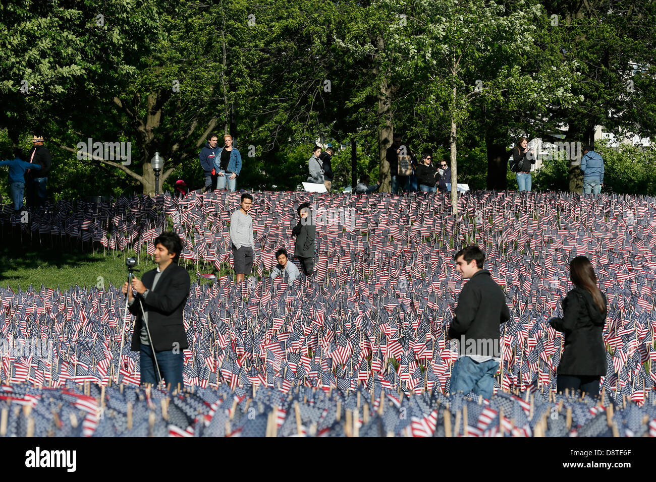 Menschen unter einem Meer von Fahnen für Memorial Day auf Boston Common, Boston, Massachusetts Stockfoto