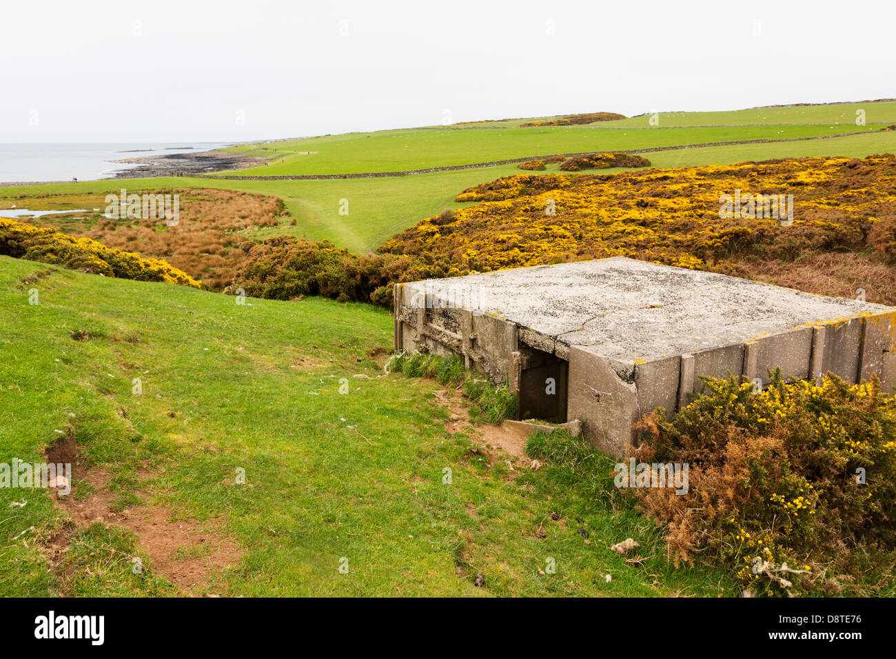 WW2 Waffe Verteidigung Stellung an der englischen Ostküste auf Dunstanburgh. Stockfoto