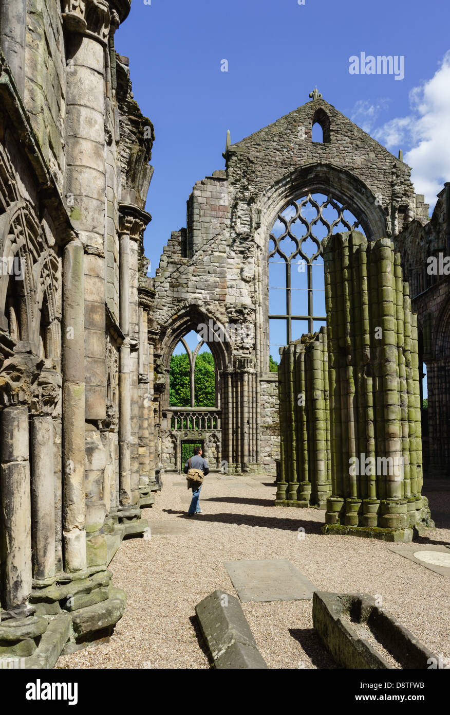 Holyrood Abbey und Palast, Edinburgh, königlichen Residenz - Ithe Kirchenschiff, mit Besuchern, steinerne Särge, Gitter Ostfenster ruiniert. Stockfoto