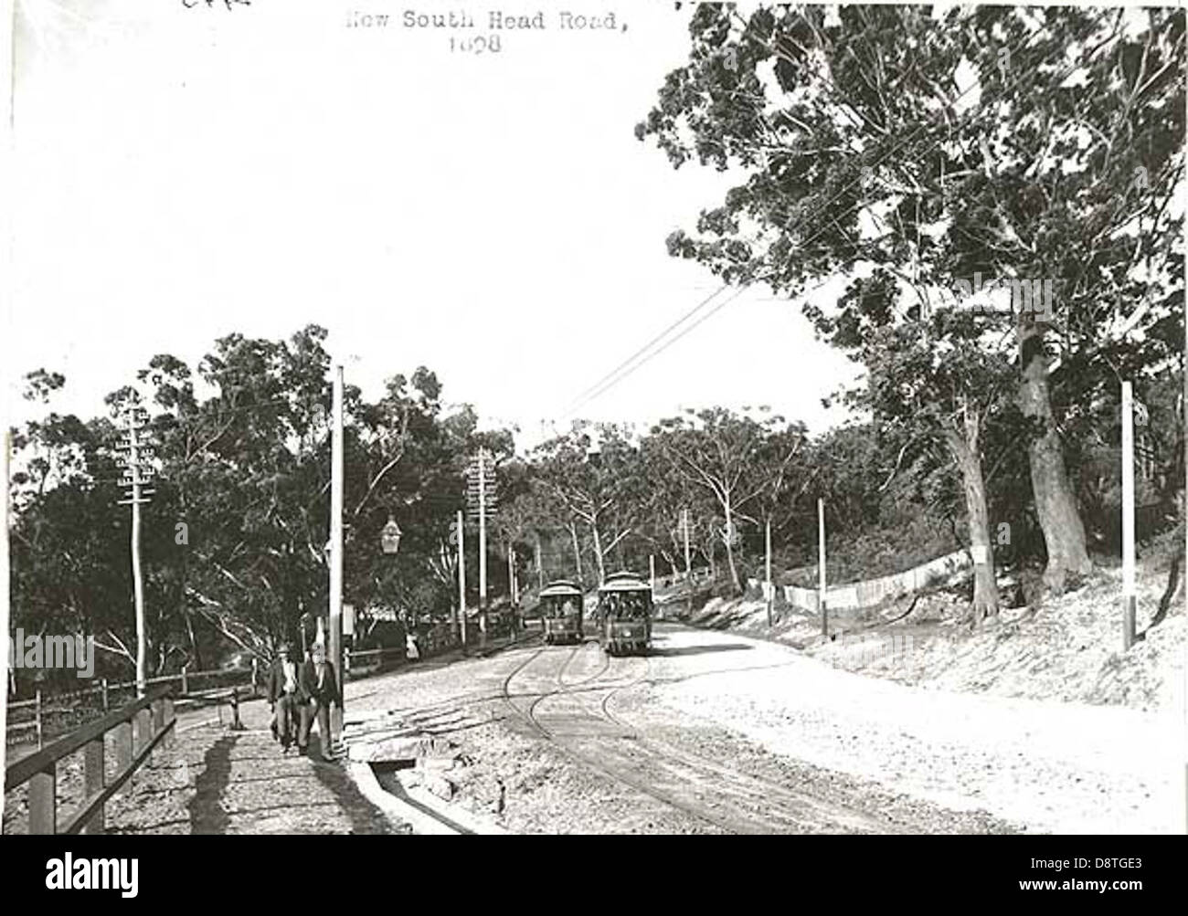 Rose Bay Straßenbahn in Betrieb auf neue South Head Road Stockfoto