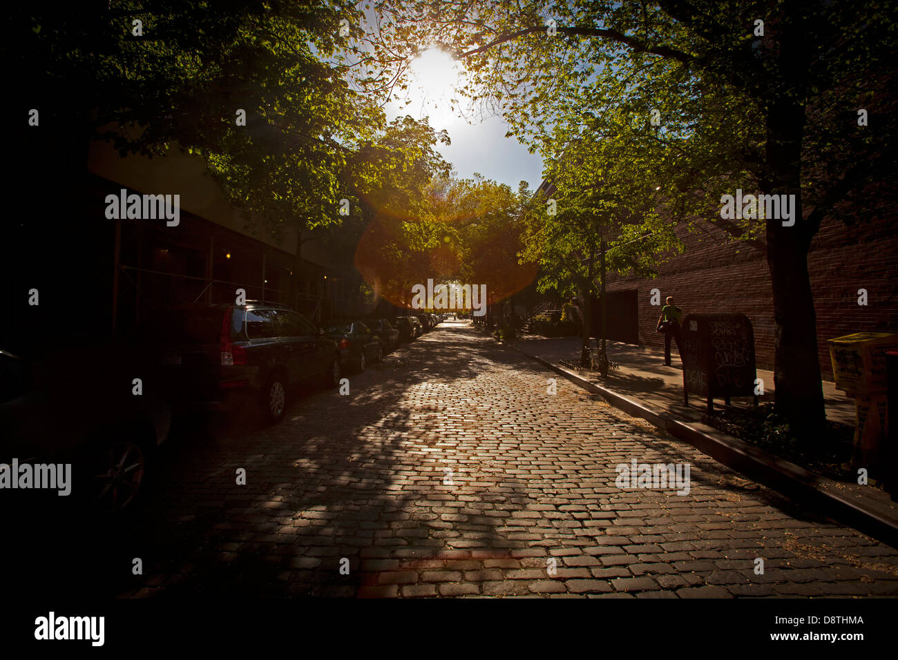 Cobble stone street, niedriger, Manhattan, New York, Vereinigte Staaten von Amerika Stockfoto