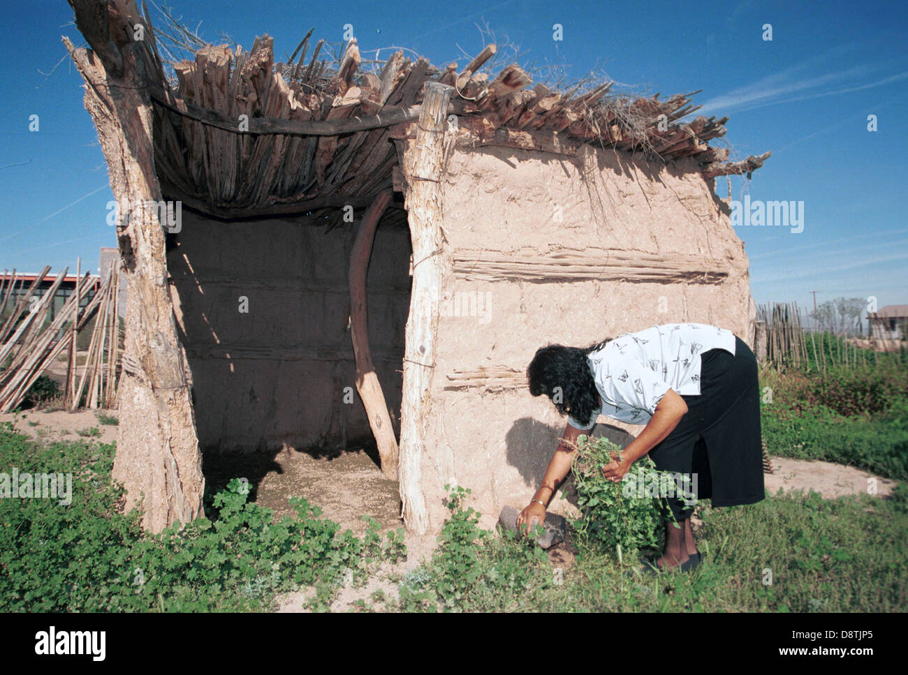 Hogan ist die Heimat der Navajo Indianer rund und konisch geformten oder Sqaure aus Holz verpackt Schlamm Tür Gesicht Ost, voll Schlamm, Holzstruktur, Stockfoto