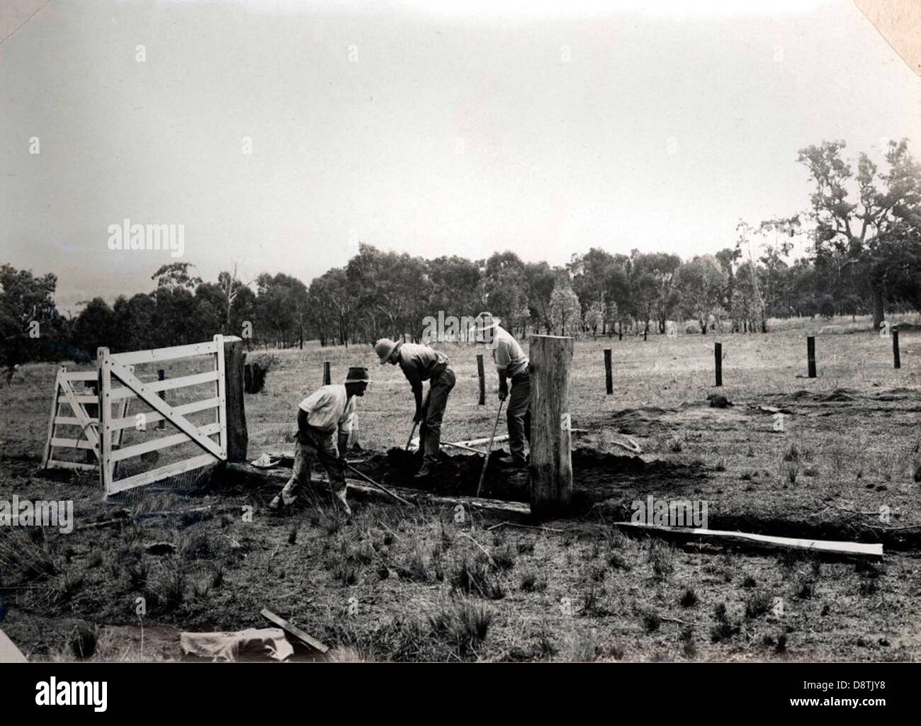 Das Oban Soldiers' Settlement Estate in New South Wales, Australien, wurde gegründet, um Veteranen, die aus dem Krieg zurückkehrten, Ackerland zur Verfügung zu stellen. Dieses historische Schwarzweiß-Foto zeigt die Entwicklung der Bauerngemeinde, insbesondere die Stadt Dunedoo und die umliegenden Regionen. Stockfoto