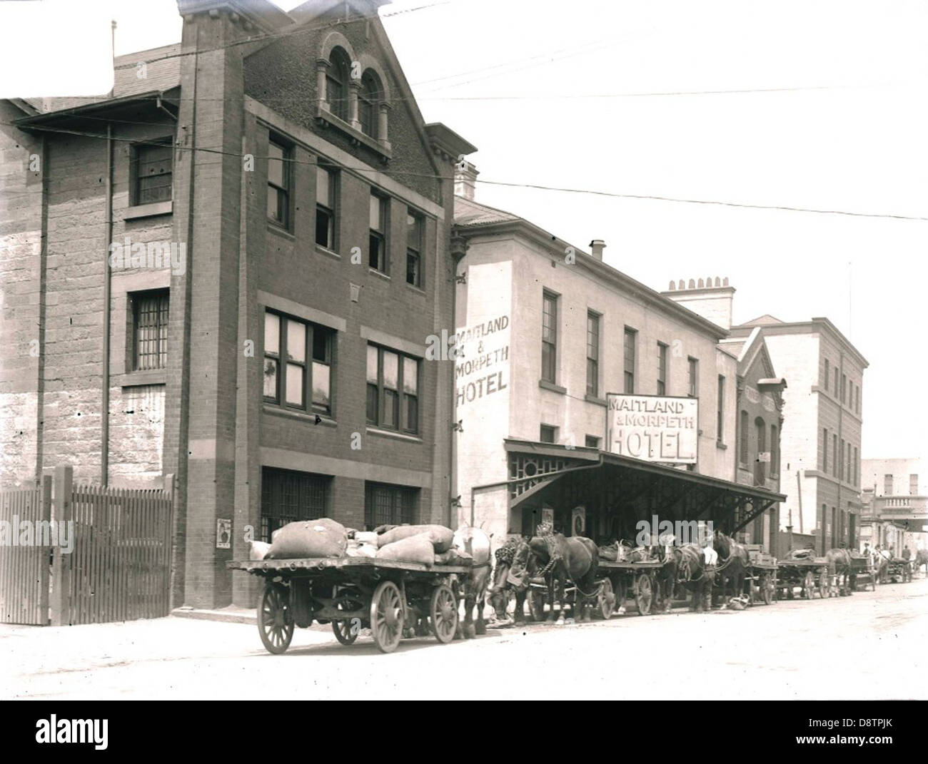 Dieses historische Schwarzweiß-Foto zeigt Pferde, die vor dem Maitland & Morpeth Hotel in Darling Harbour, Sydney, warten. Sie bietet einen Einblick in die Verkehrsmittel und das tägliche Leben der Gegend während des frühen 20. Jahrhunderts und bietet Einblick in die sozialen und kommerziellen Aktivitäten der Zeit. Stockfoto