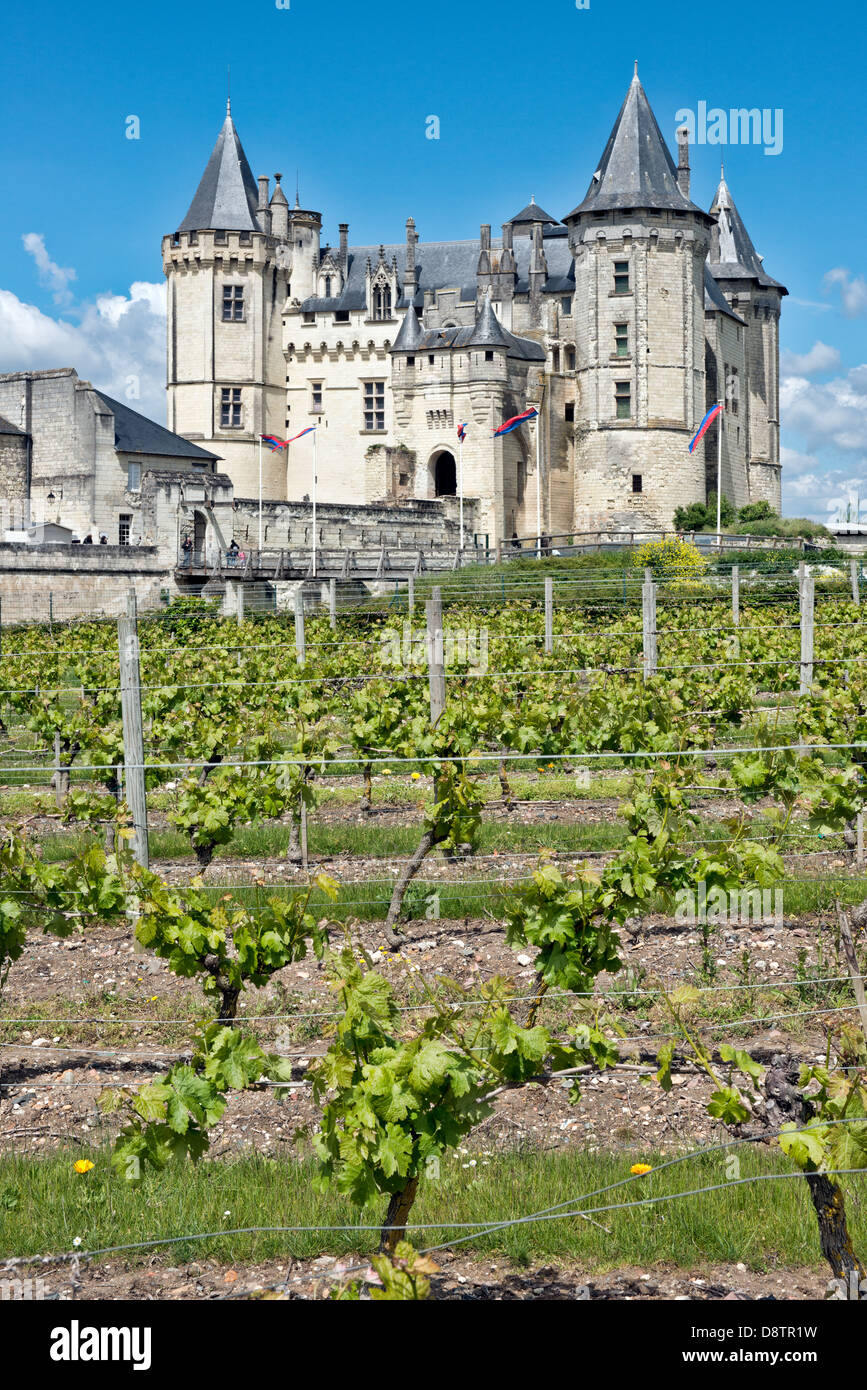 Reifende Reben im Weinberg vor den historischen Château de Saumur. Im Tal Loire, Frankreich Stockfoto