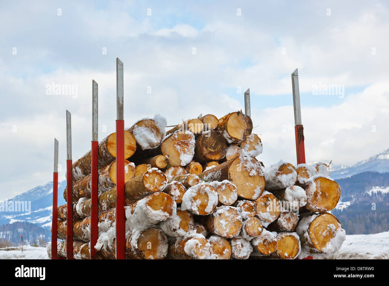 Scheitholz-Protokolle in einem LKW Stockfoto