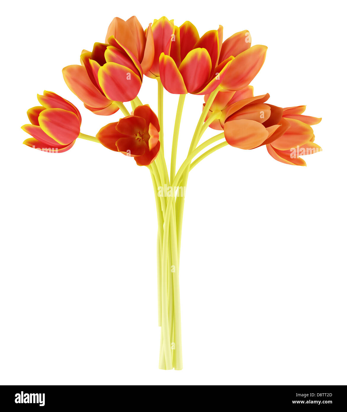 Bouquet von orange Tulpen isoliert auf weiss Stockfoto